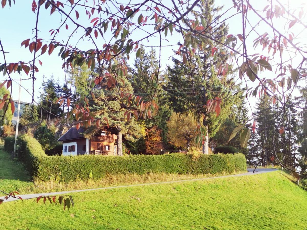 Ferienwohnung Waldheimat. Fresach Exterior foto
