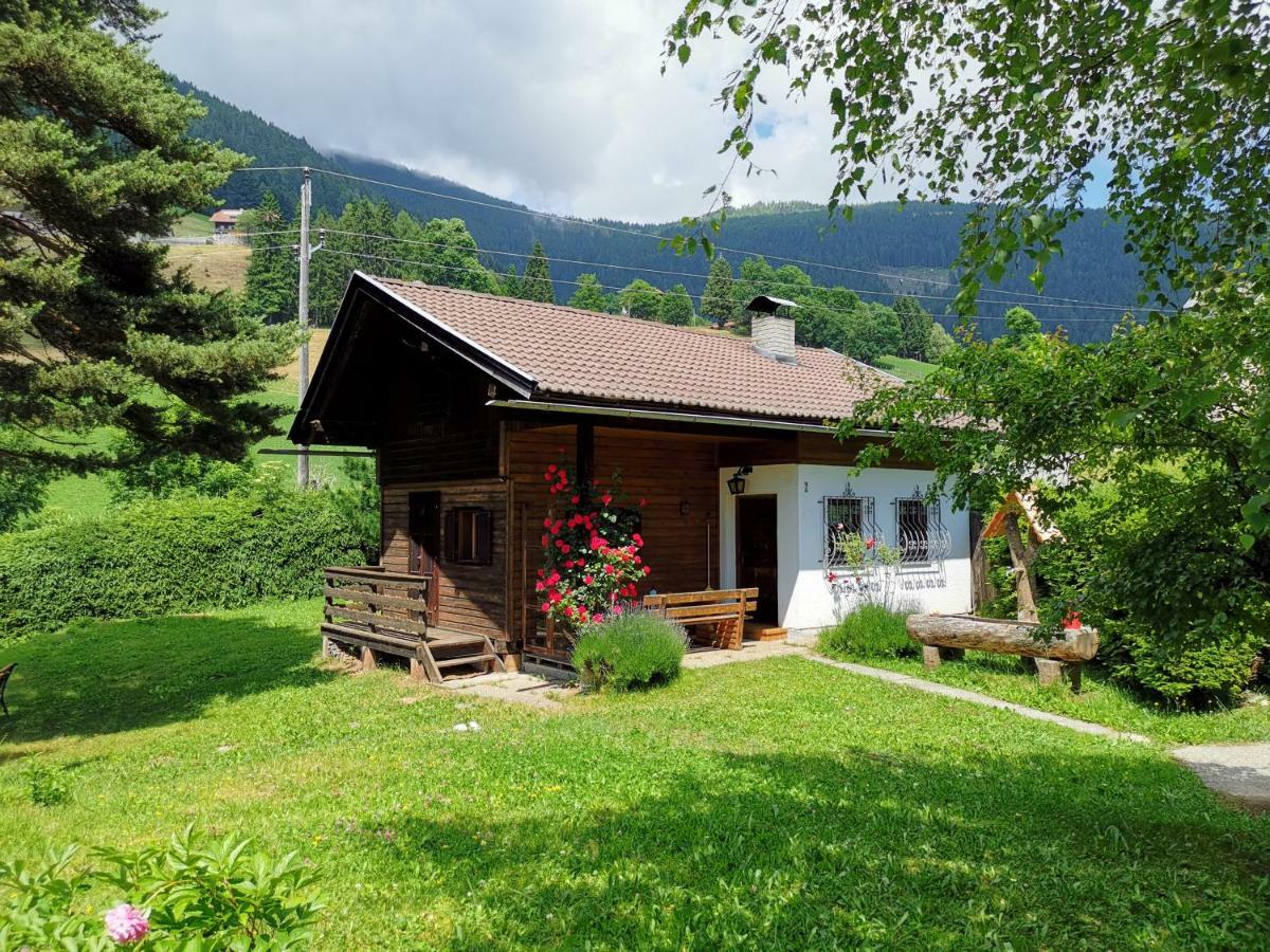 Ferienwohnung Waldheimat. Fresach Exterior foto