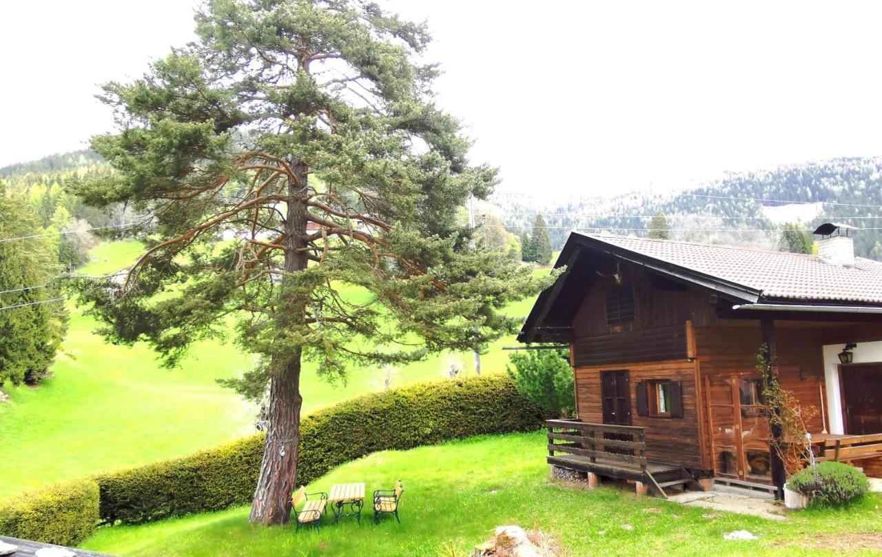Ferienwohnung Waldheimat. Fresach Exterior foto